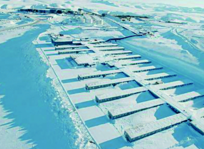 Siberian Gold Project